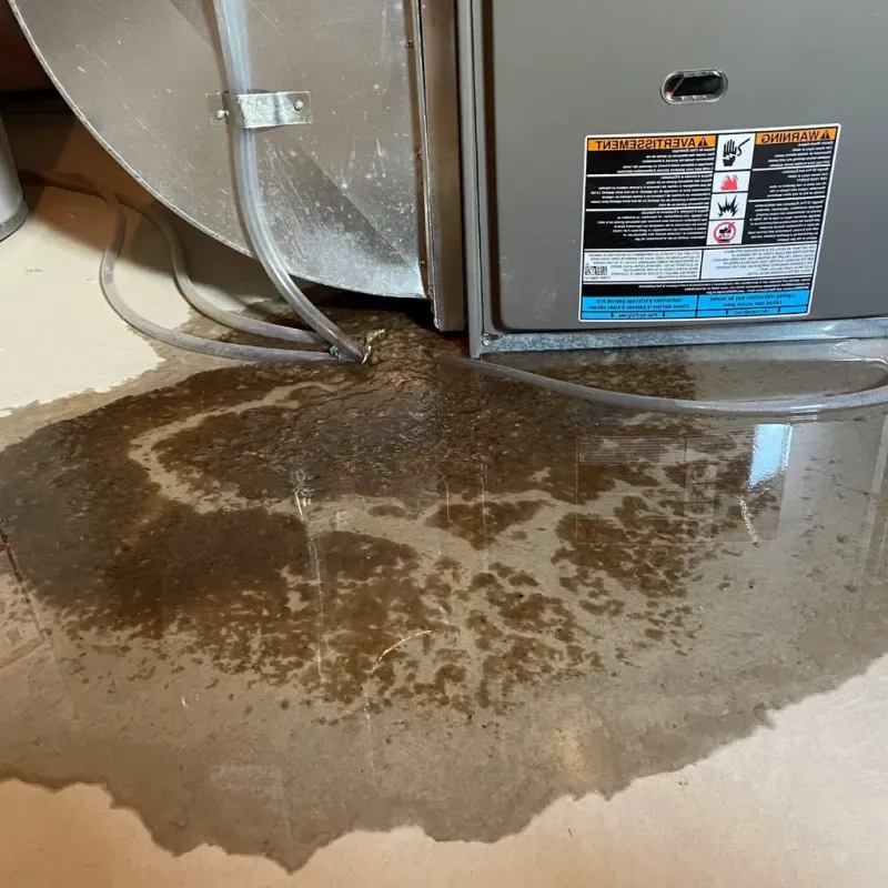 Pipe Burst and Leak Restoration in Hancock County, ME